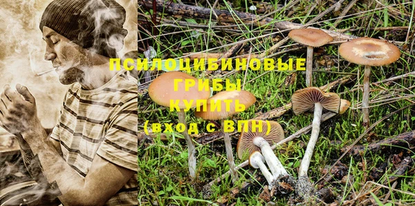 мдпв Тобольск