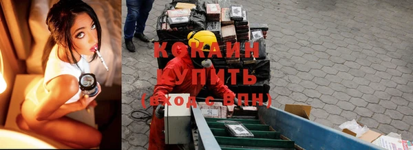 мдпв Тобольск