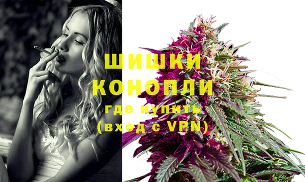 мдпв Тобольск