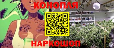 mdma Аргун