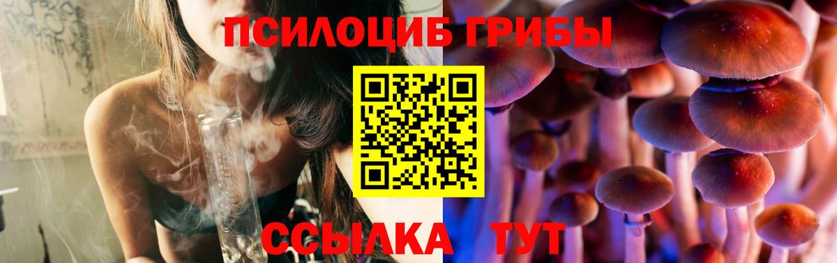 Псилоцибиновые грибы Cubensis  Псилоцибиновые грибы Psilocybe  Барнаул 
